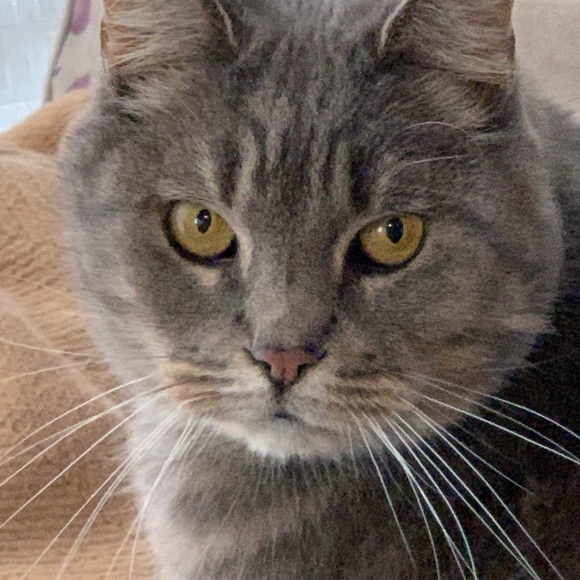 Meet your Posher, Dem! - Picture 3 of 14